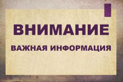 постановлением Администрации города Смоленска создано Смоленское городское лесничество - фото - 1